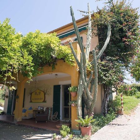 B&B La Casa Dei Gelsi Loano Εξωτερικό φωτογραφία